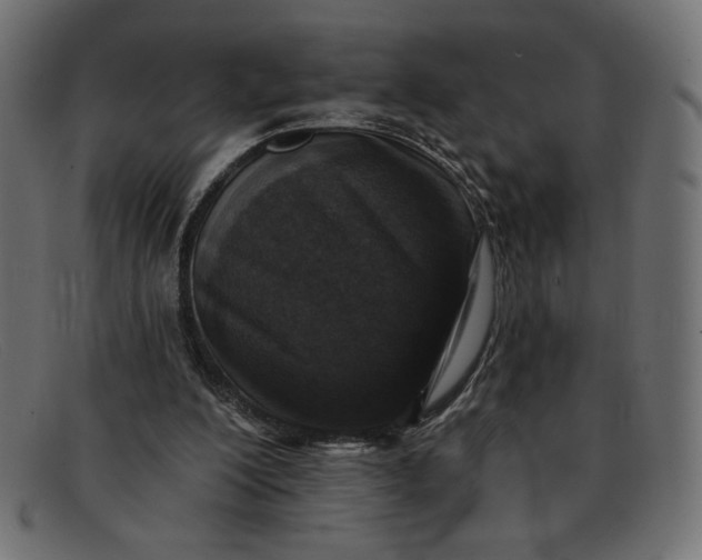 X0000091850200200709191103