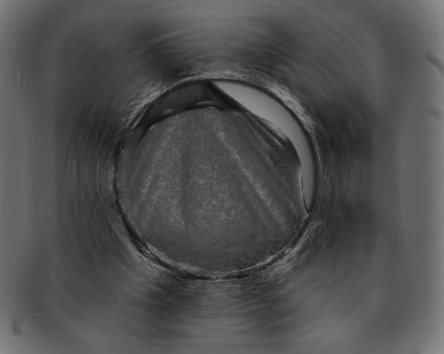 X0000091850201200709191103