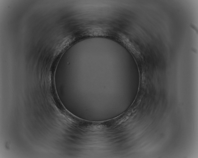 X0000091850202200709191103