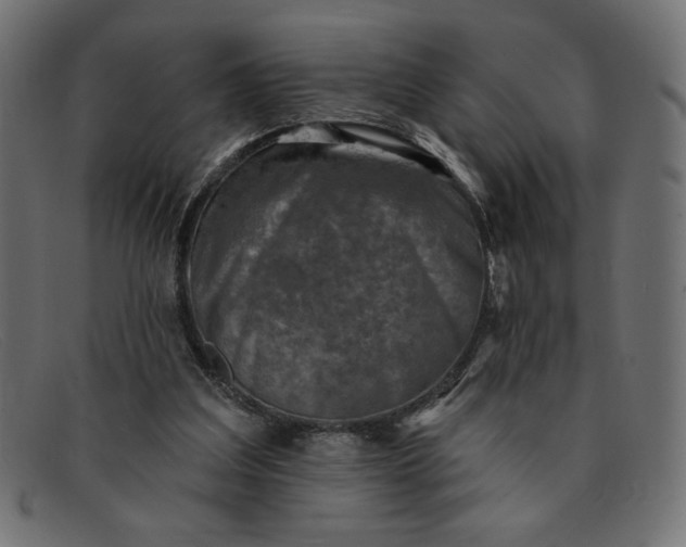 X0000091850203200709191103
