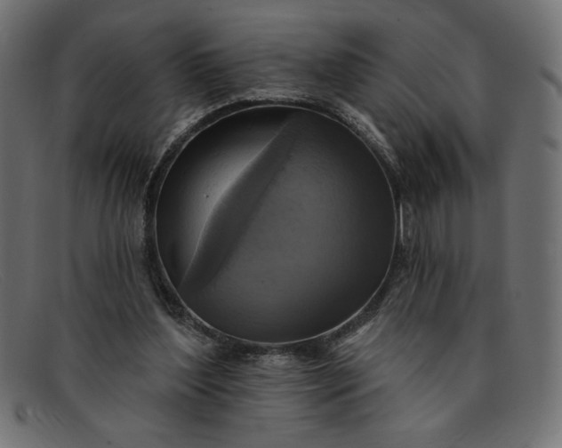 X0000091850204200709191103