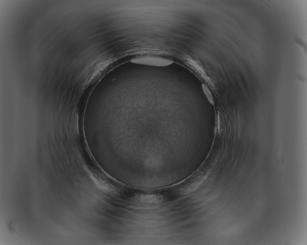 X0000091850205200709191103