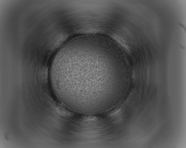 X0000091850206200709191103