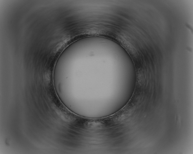 X0000091850208200709191103