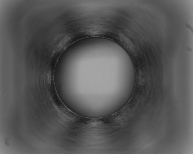X0000091850210200709191103