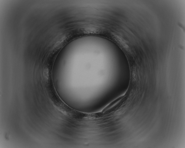 X0000091850211200709191103