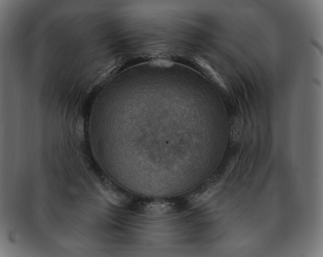 X0000091850213200709191103
