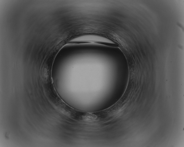 X0000091850215200709191103