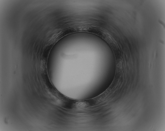 X0000091850218200709191103