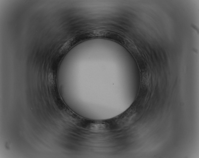 X0000091850220200709191103