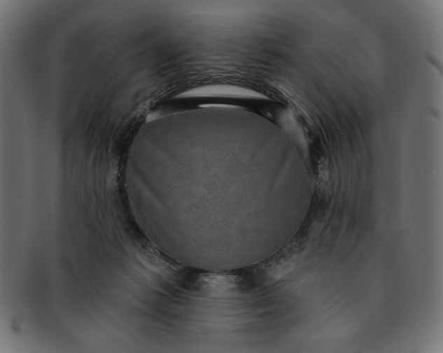 X0000091850221200709191103