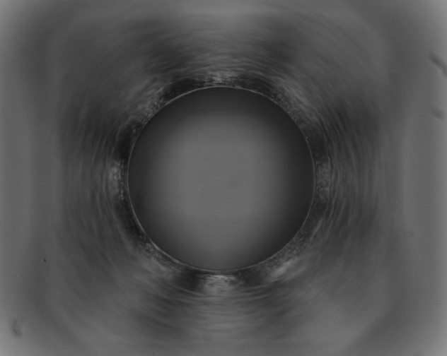 X0000091850222200709191103