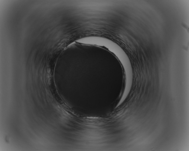 X0000091850223200709191103