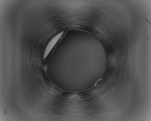 X0000091850224200709191103