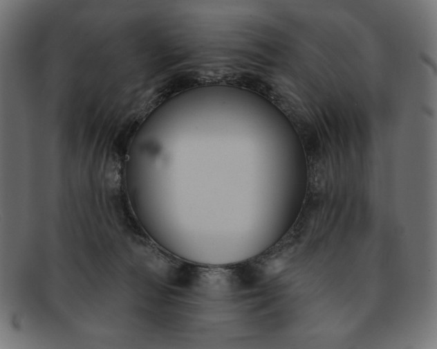 X0000091850226200709191103