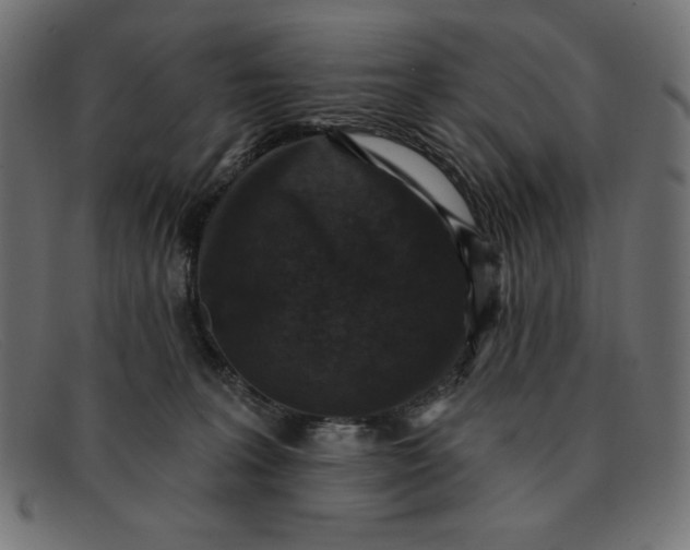 X0000091850227200709191103