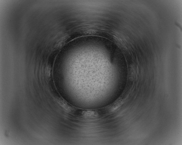 X0000091850230200709191103