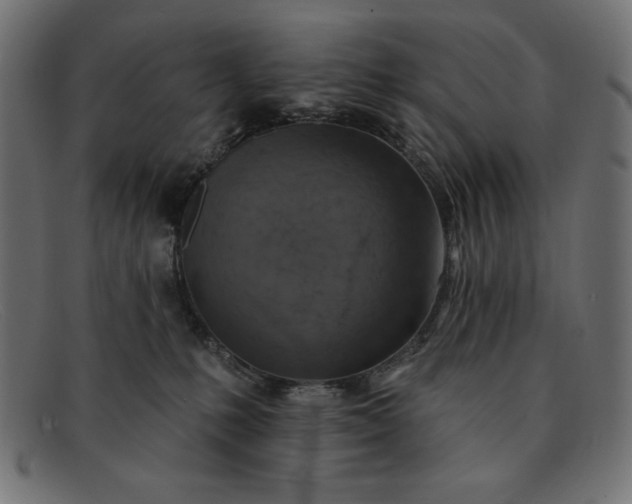 X0000091850231200709191103