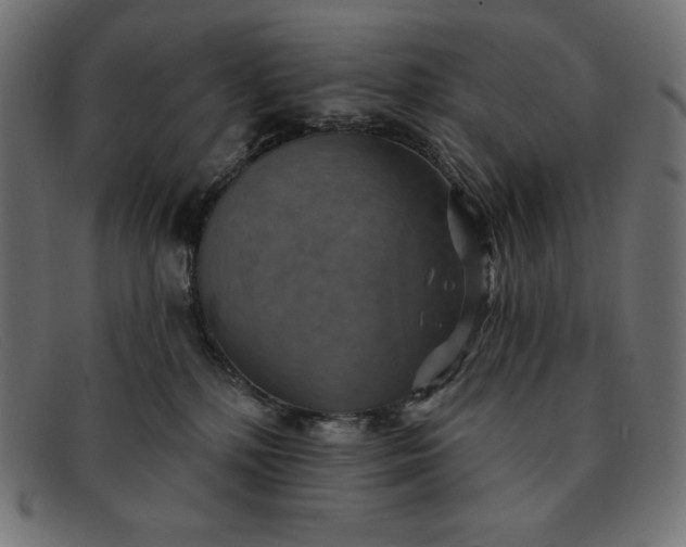 X0000091850232200709191103