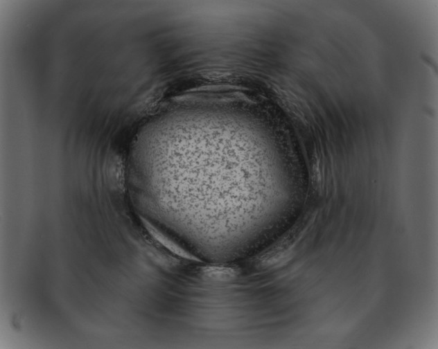 X0000091850234200709191103