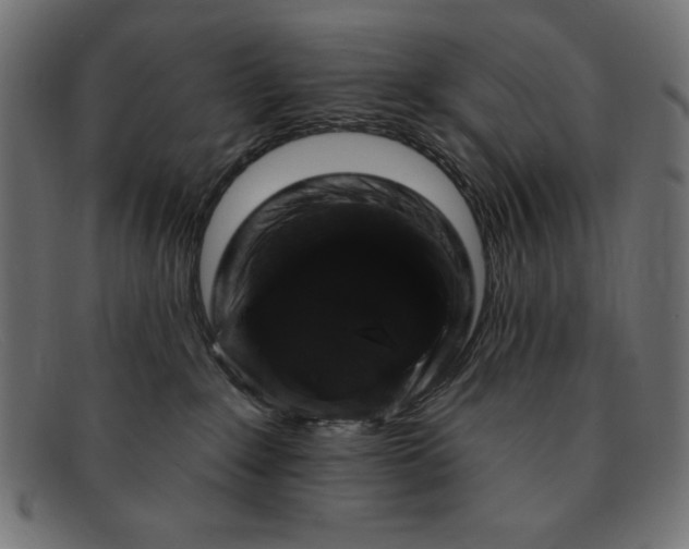 X0000091850235200709191103