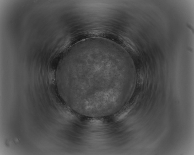 X0000091850236200709191103
