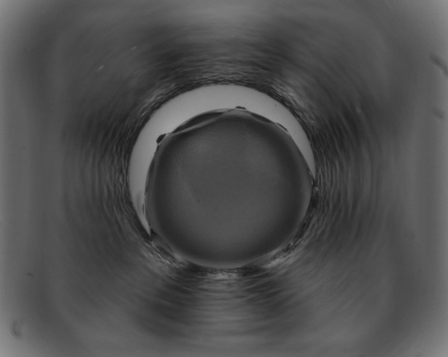 X0000091850237200709191103