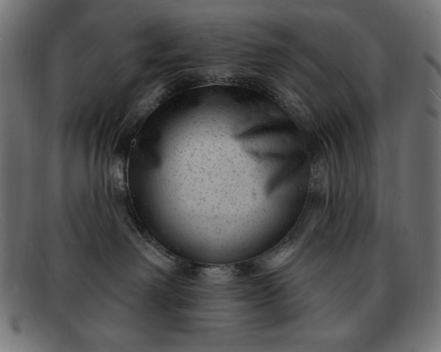 X0000091850238200709191103