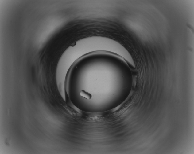 X0000091850239200709191103