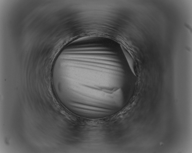 X0000091850241200709191102