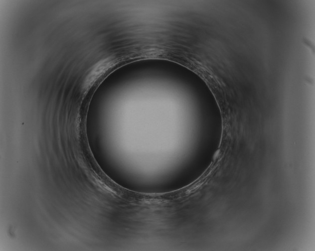 X0000091850242200709191102