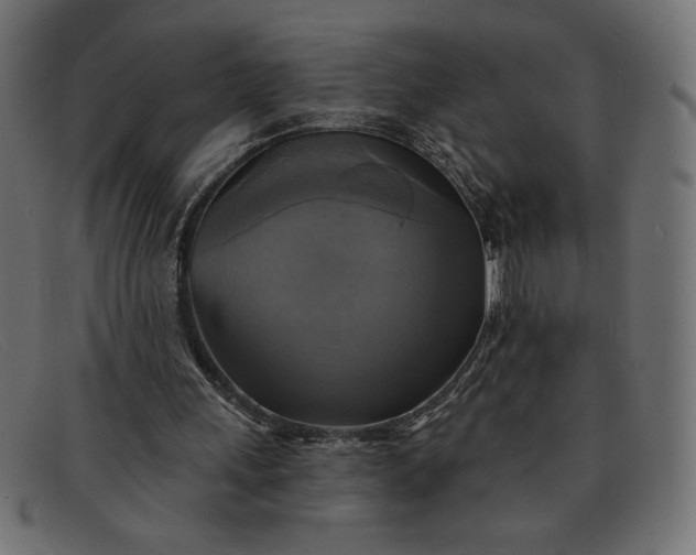 X0000091850243200709191102