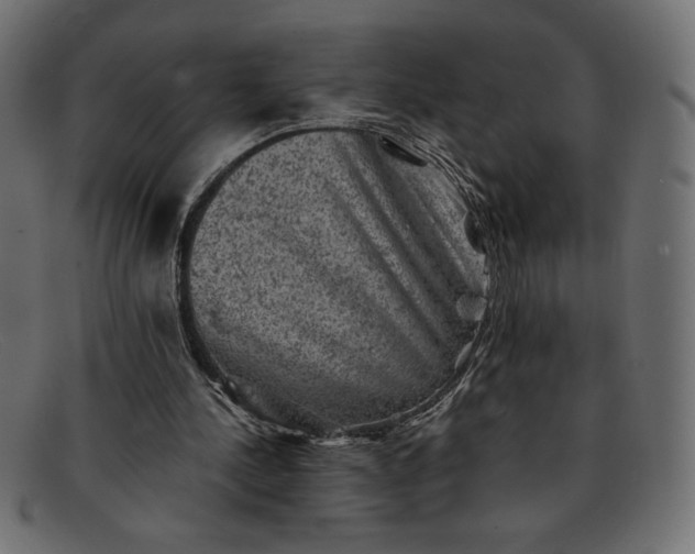 X0000091850244200709191102