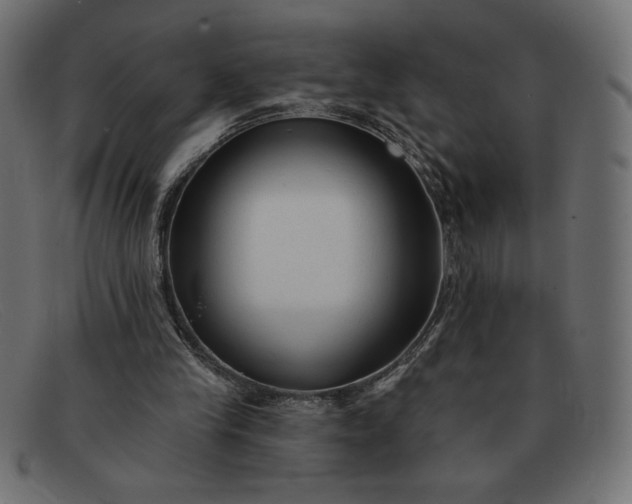 X0000091850245200709191102