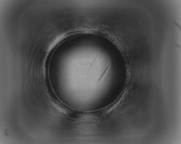 X0000091850246200709191102