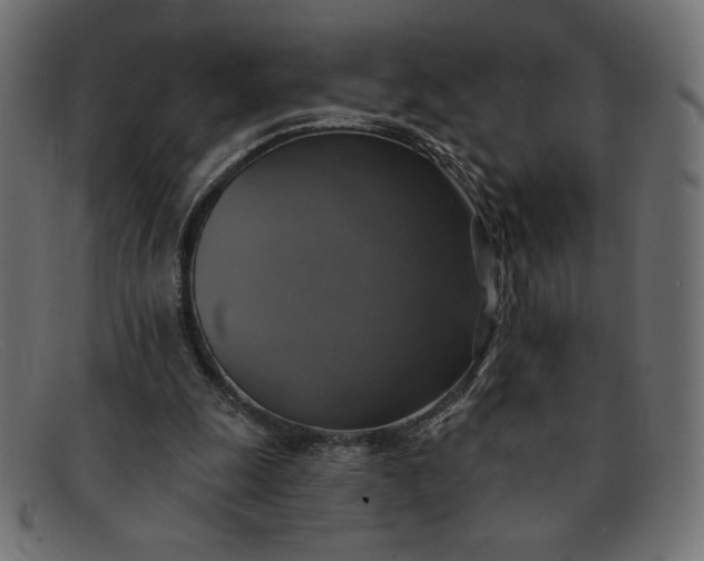 X0000091850247200709191102