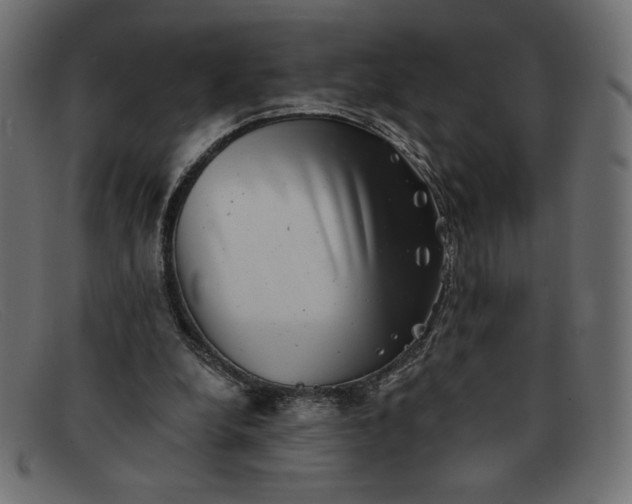 X0000091850248200709191102