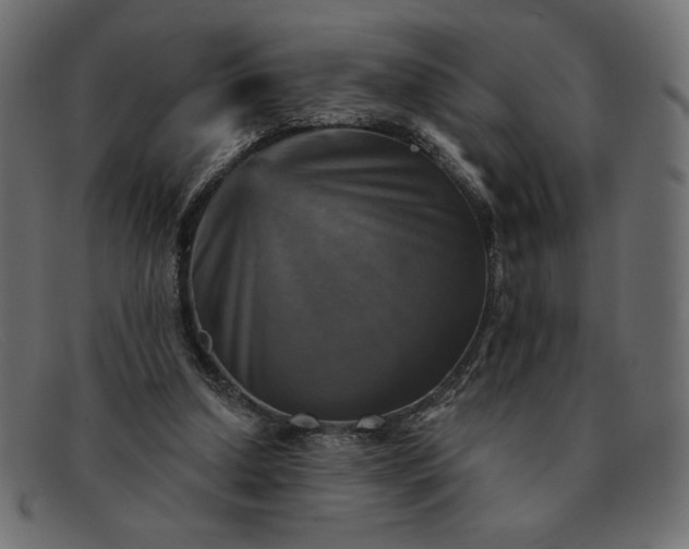 X0000091850250200709191102