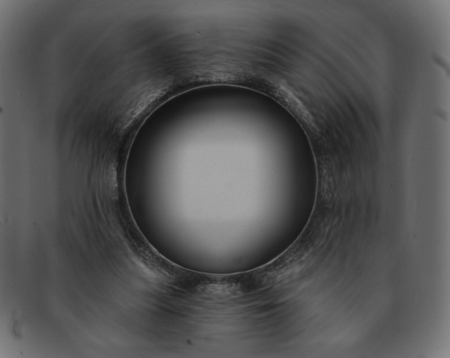X0000091850251200709191102