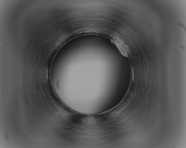 X0000091850253200709191102