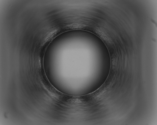 X0000091850254200709191102