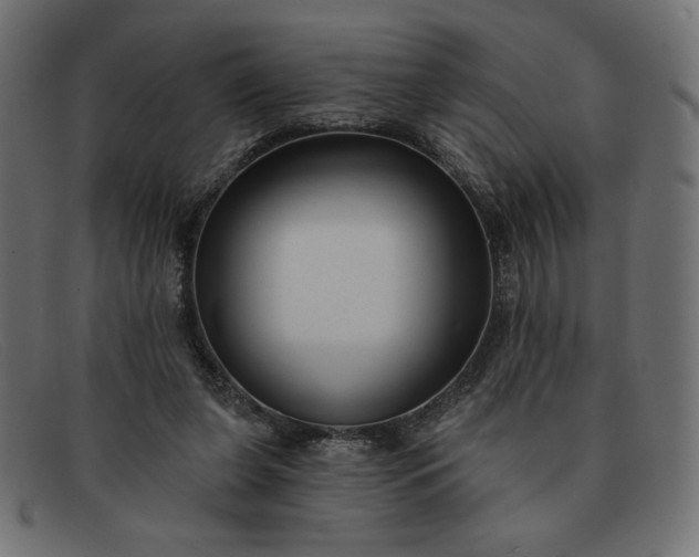 X0000091850255200709191102