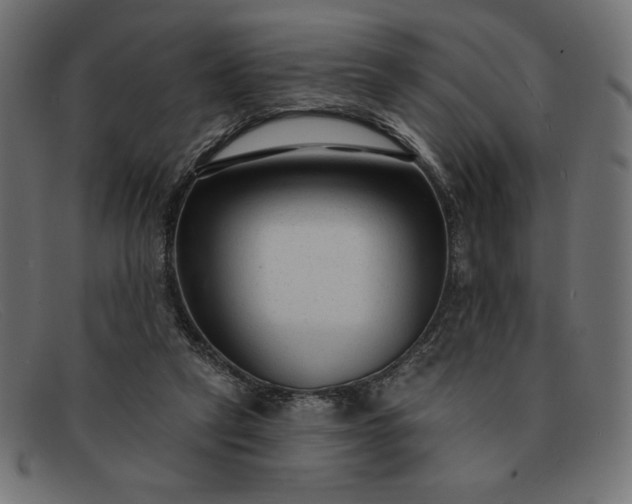 X0000091850257200709191102