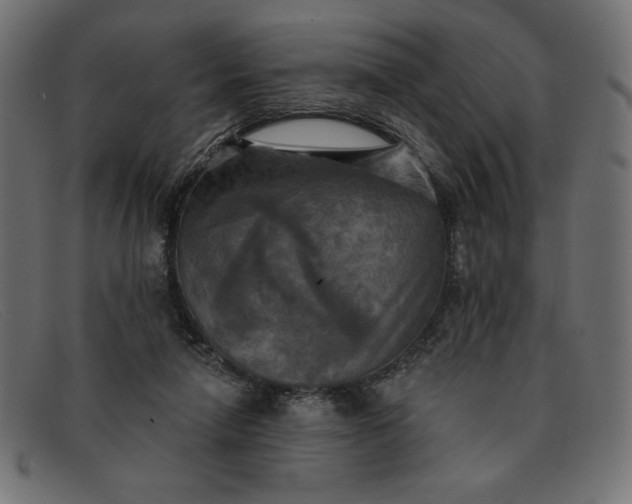 X0000091850258200709191102