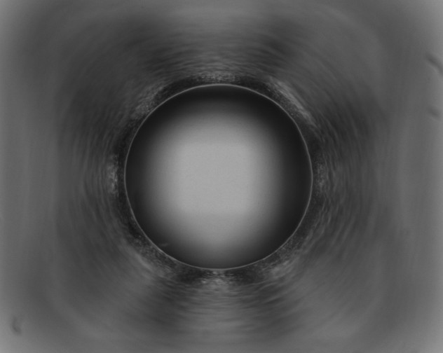 X0000091850259200709191102