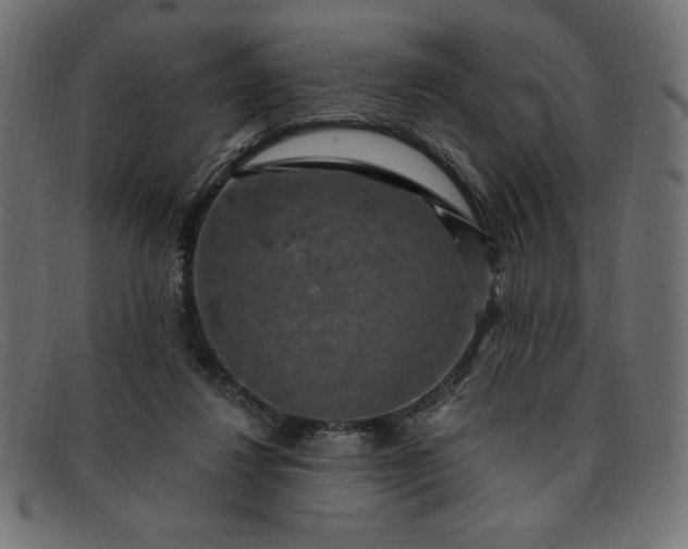 X0000091850260200709191102