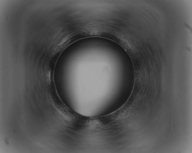 X0000091850262200709191102