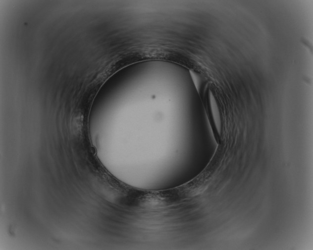 X0000091850263200709191102