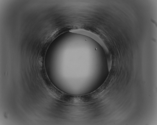 X0000091850264200709191102