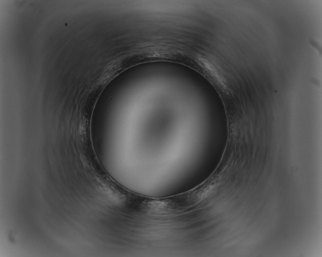 X0000091850265200709191102